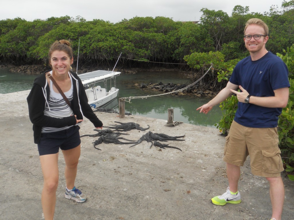 Iguanas!