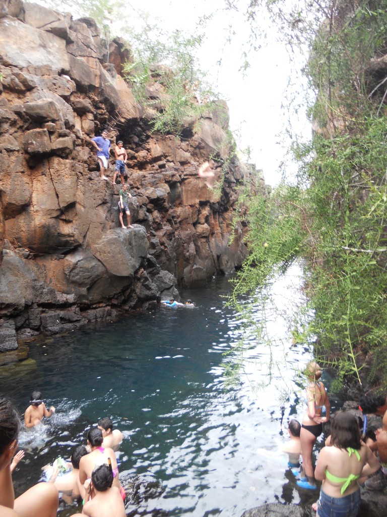 Jen's Cannonball