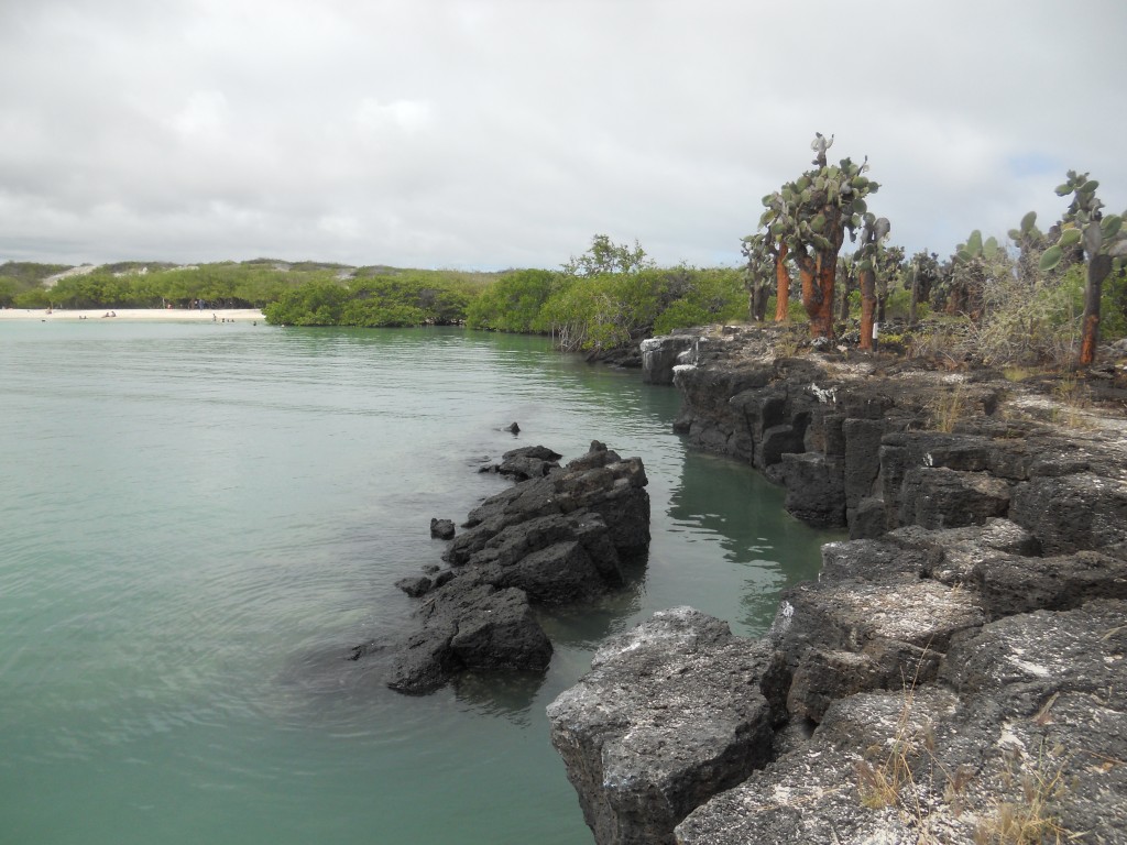 Tortuga Bay