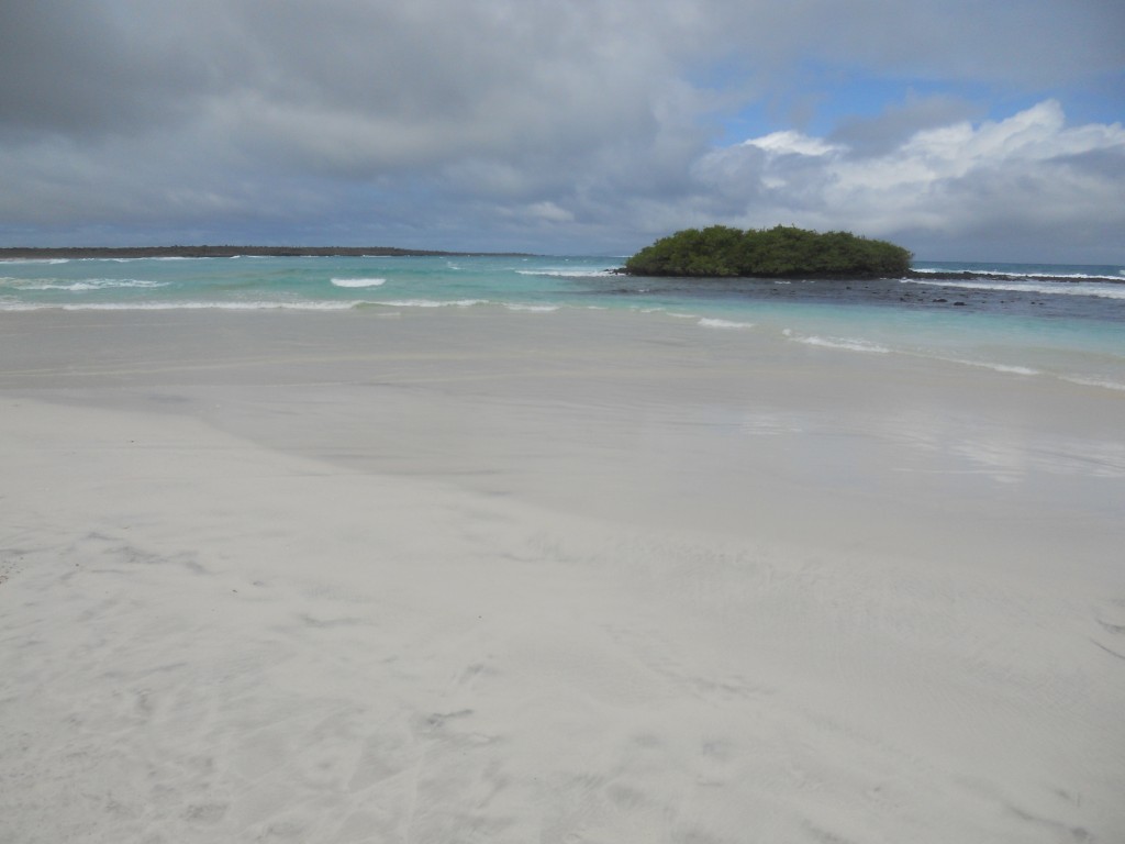 More Tortuga Bay