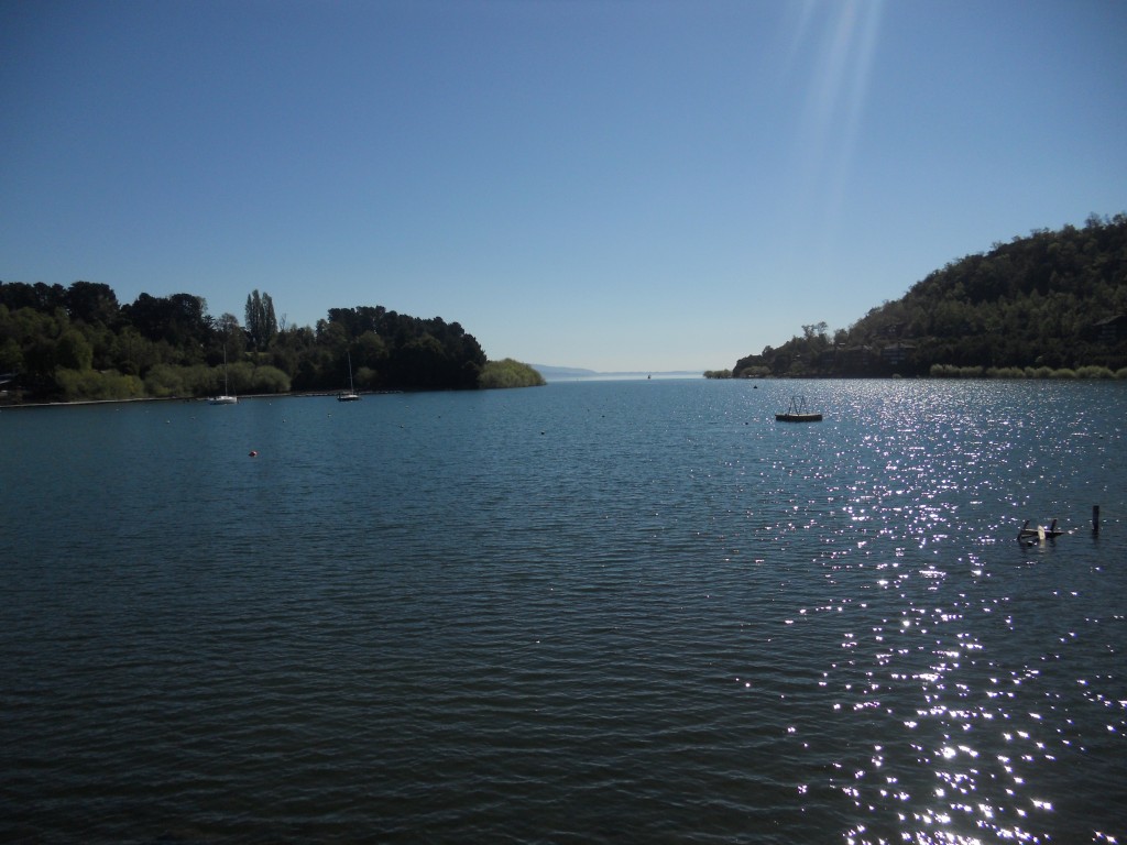 DSCN3758